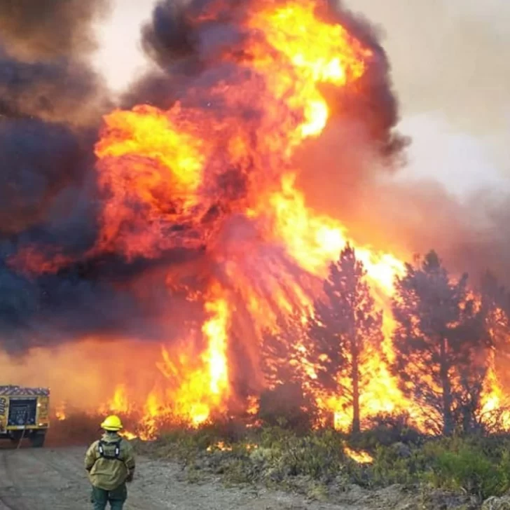 Torres apuntó contra el juez Otranto y pedirá su juicio político por los incendios en Chubut