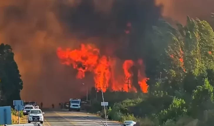incendios-el-bolson1-728x430
