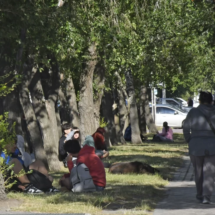 Sería inminente la autorización de reapertura de la plaza San Martín