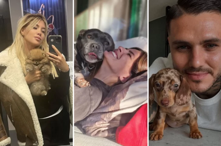 En medio del Wandagate, Melina Lezcano apuntó contra la China Suárez: “Me adoptó dos perros y nunca más supe dónde están”