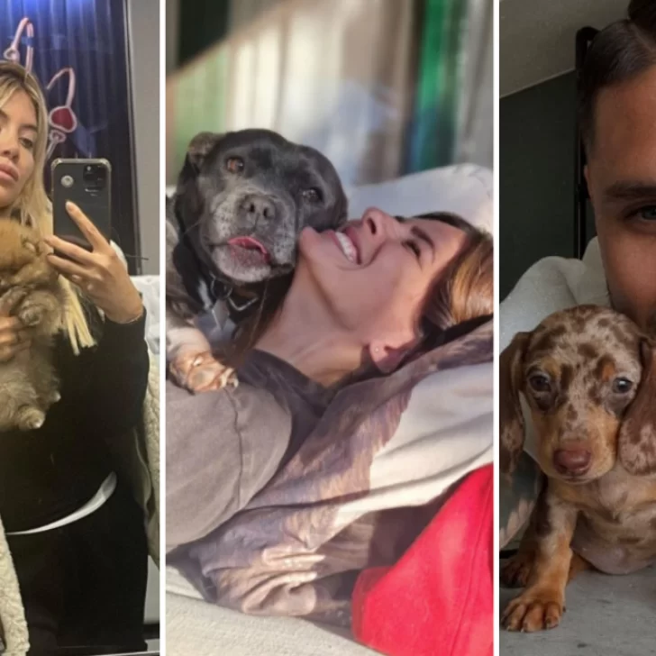En medio del Wandagate, Melina Lezcano apuntó contra la China Suárez: “Me adoptó dos perros y nunca más supe dónde están”