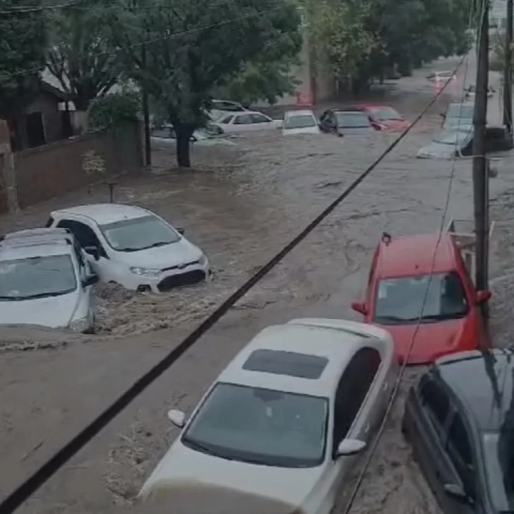 El drama de Aldana, la estudiante de Río Gallegos que vive en Bahía Blanca: “La tormenta empezó y no paró”