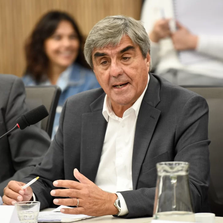 Roberto Cacciola, presidente de CAEM: “El RIGI hizo que Argentina esté en el foco de las decisiones de inversiones mineras” Roberto Cacciola, presidente de CAEM: “El RIGI hizo que Argentina esté en el foco de las decisiones de inversiones mineras”