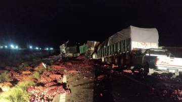 Video: dos camiones chocaron de frente y un chofer de Chaco murió calcinado atrapado en la cabina