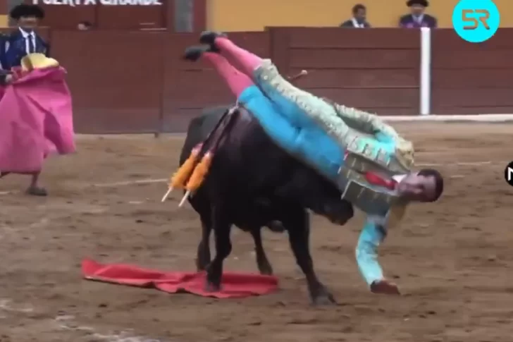 Torero fue embestido por un toro cuando iba a darle la estocada final: está en grave estado tras una cirugía de ocho horas 