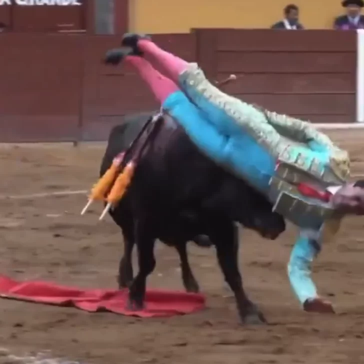 Torero fue embestido por un toro cuando iba a darle la estocada final: está en grave estado tras una cirugía de ocho horas 