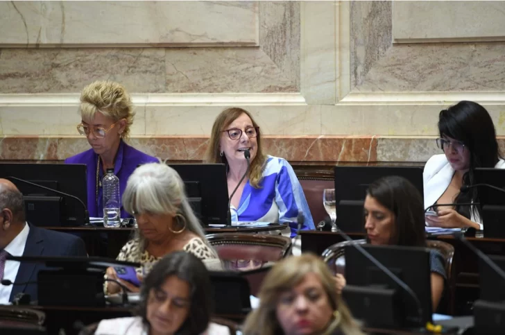Alicia Kirchner criticó el decreto con el acuerdo con el FMI