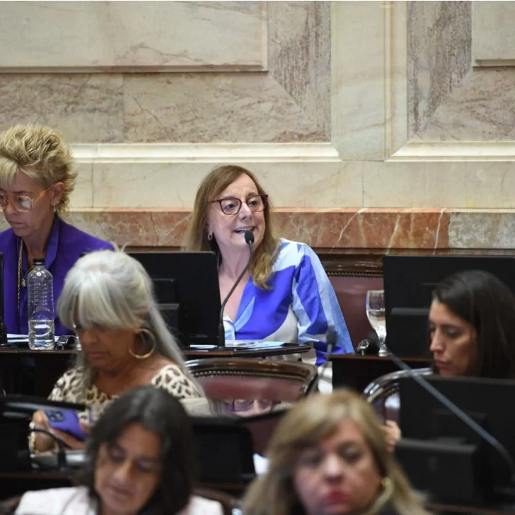 Alicia Kirchner criticó el decreto con el acuerdo con el FMI Alicia Kirchner criticó el decreto con el acuerdo con el FMI