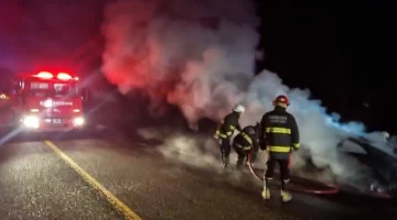 Un auto de alta gama se incendió en las rutas de Santa Cruz: no hubo que lamentar personas heridas