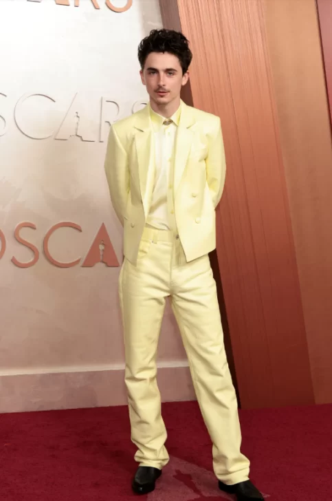 LOOKS-OSCAR-33-483x728