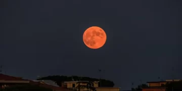 Eclipse lunar total en Argentina: a qué hora ver la “Luna de Sangre” y cuándo se repetirá