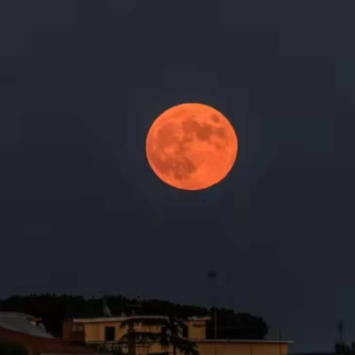 Eclipse lunar total en Argentina: a qué hora ver la “Luna de Sangre” y cuándo se repetirá