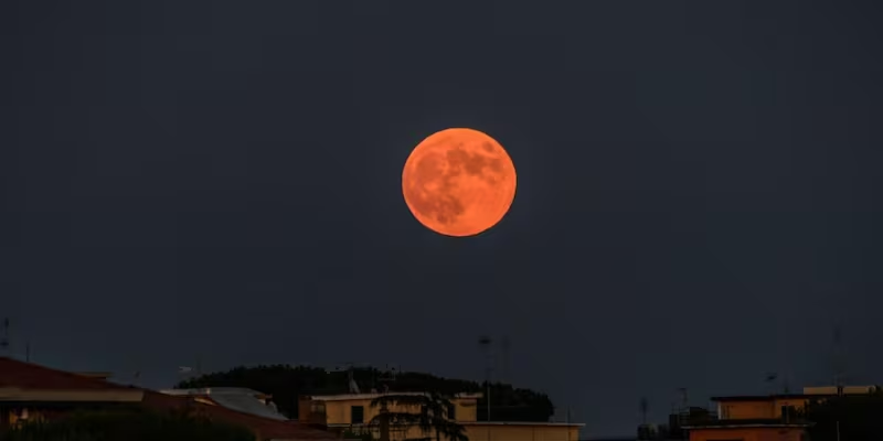 LUNA-DE-SANGRE-728x364