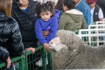 El campo en la ciudad: convocante 92° edición de la Exposición Rural