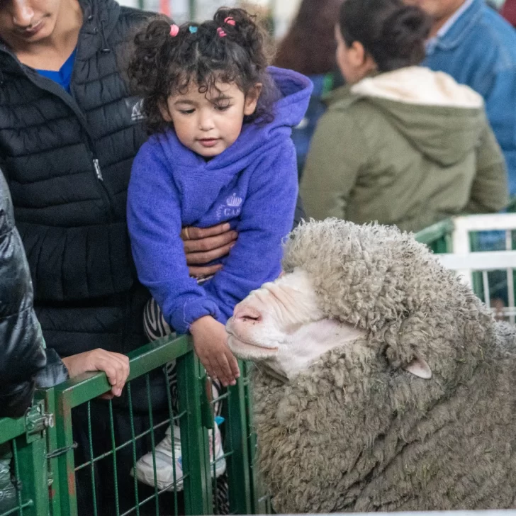 El campo en la ciudad: convocante 92° edición de la Exposición Rural