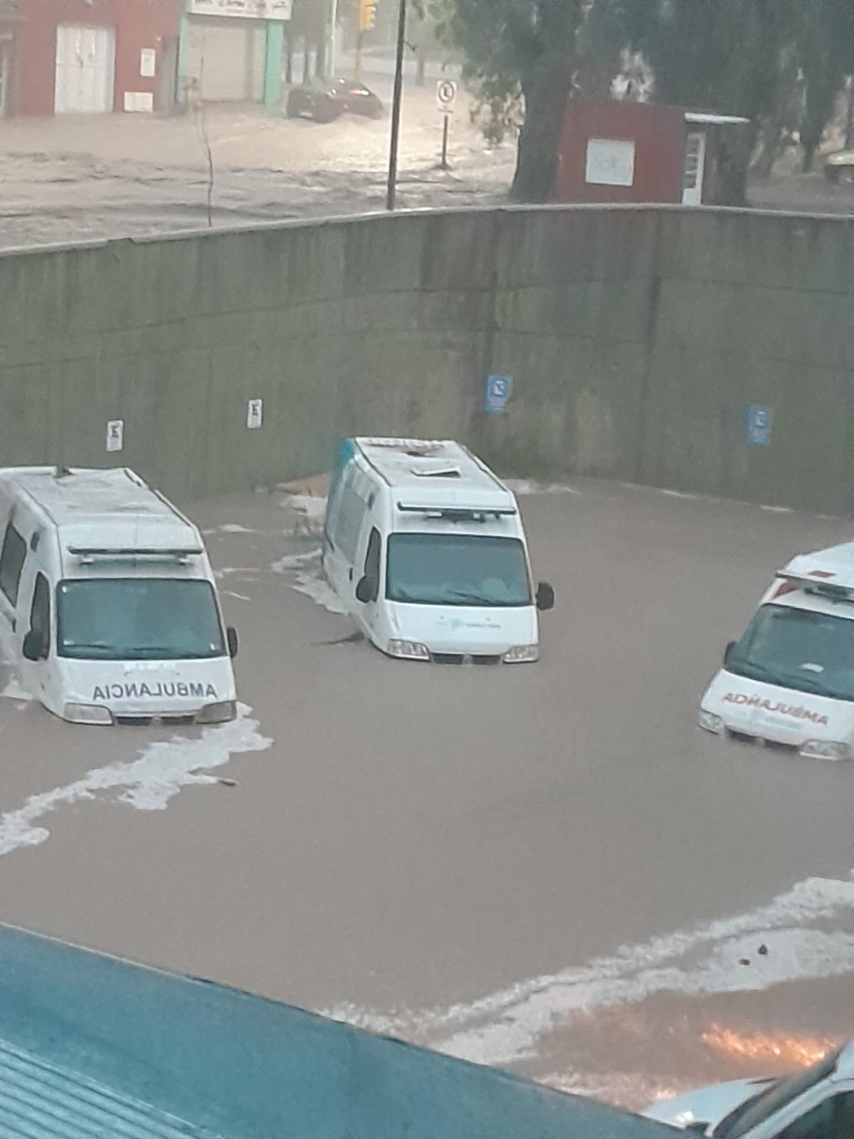 bahia-blanca-inundaciones-546x728