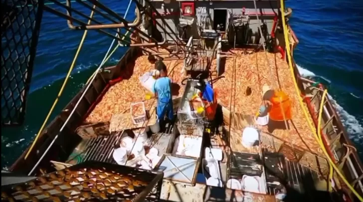 documental-pesca-nacho-viale-12-728x405