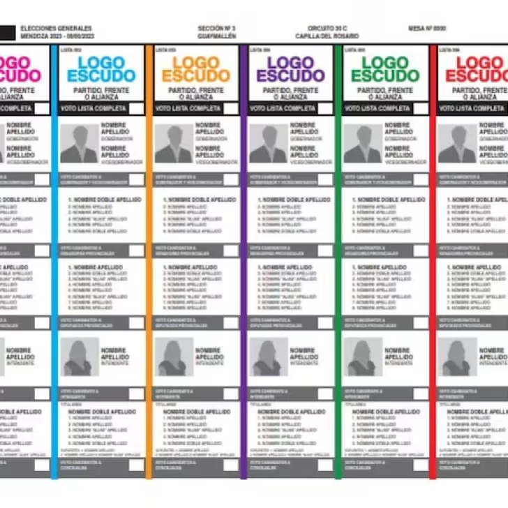 Elecciones en Santa Cruz: ya podés probar el simulador online de la Boleta Única de Papel Elecciones en Santa Cruz: ya podés probar el simulador online de la Boleta Única de Papel