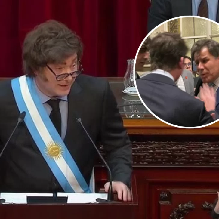 Javier Milei tildó de “mentiroso” a Manes tras la denuncia del diputado radical