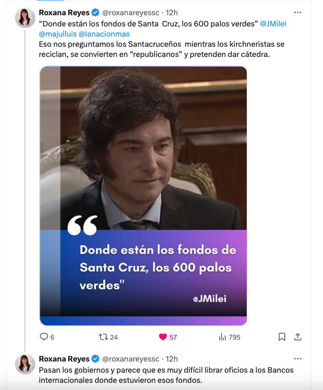 javier-milei-roxana-reyes-fondos-de-santa-cruz-603x728
