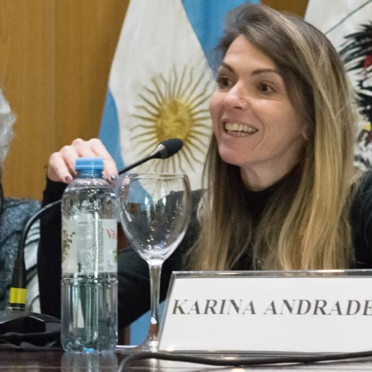 Jueza Karina Andrade sobre la liberación de detenidos: “No fue una decisión trasnochada”