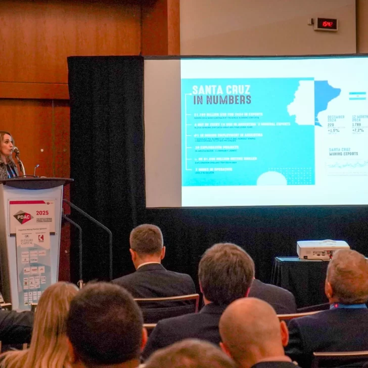 Nadia Ricci en la PDAC 2025: “Estamos enfrentando un retroceso significativo en exploración””