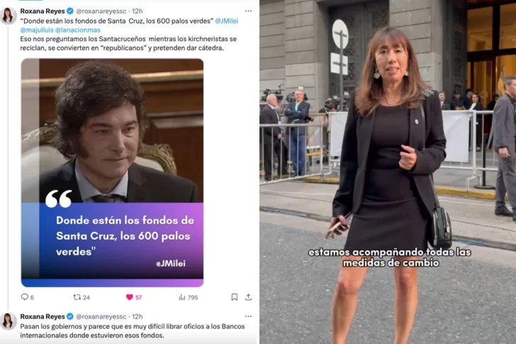 Roxana Reyes se sumó al reclamo de Javier Milei por los fondos de Santa Cruz