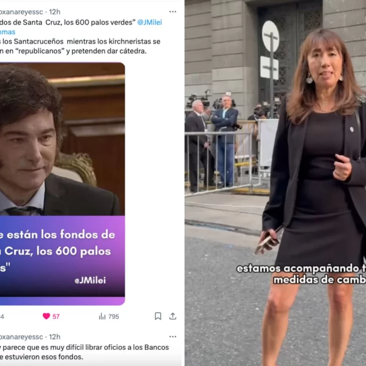 Roxana Reyes se sumó al reclamo de Javier Milei por los fondos de Santa Cruz