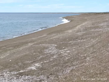 Un pescador murió mientras buceaba: su equipo presentaba serias fallas y la Justicia investiga