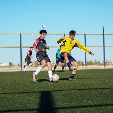 Las inferiores de la Liga Sur siguen en marcha con actividad en varias categorías