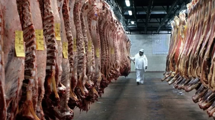 Nación ratificará que podrá comenzar a ingresar carne con hueso a la Patagonia