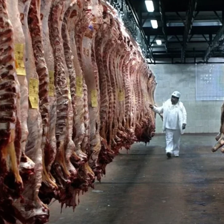 Nación ratificará que podrá comenzar a ingresar carne con hueso a la Patagonia