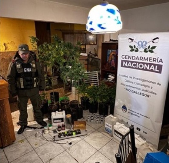 Atraparon a un hombre que cultivaba y vendía marihuana en el barrio 225 Departamentos de Río Gallegos