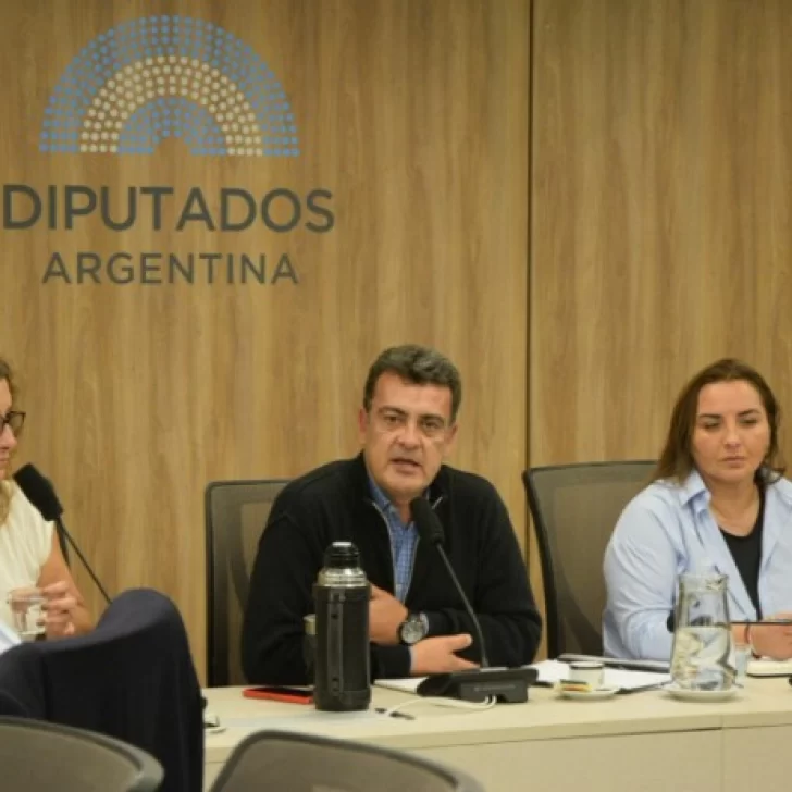 Pedirán sesión especial para derogar el DNU que desregula la pesca