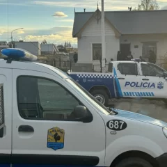 Hicieron un allanamiento por causas de robos en El Calafate pero hallaron plantas de marihuana
