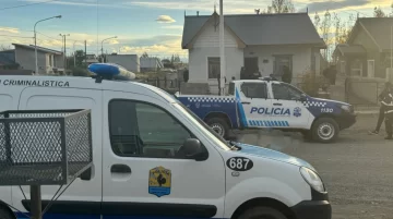 Hicieron un allanamiento por causas de robos en El Calafate pero hallaron plantas de marihuana