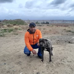 Apuñaló a un can y lo mató: “Fue para defender a mi perro”