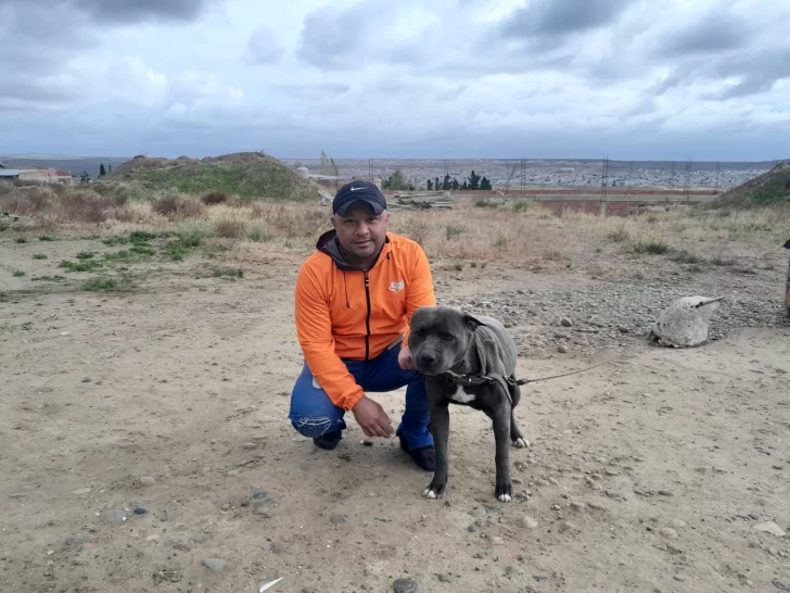 Apuñaló a un can y lo mató: “Fue para defender a mi perro”