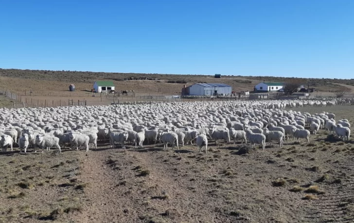  El campo y la agroindustria eran el sector que más esperaba la flexibilización cambiaria.