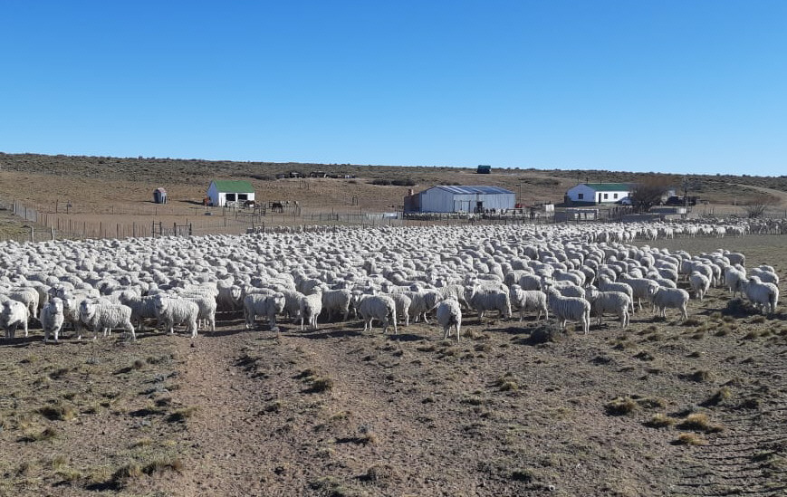  El campo y la agroindustria eran el sector que más esperaba la flexibilización cambiaria.