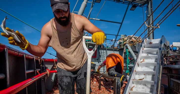 Puerto en crisis: redujeron el peso del Derecho Único de Extracción