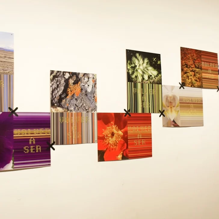 Entre experiencias personales y el ambiente: se inauguró “Bordando”