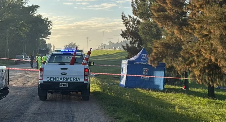 Murieron 5 jóvenes en un vuelco en la autopista Panamericana: el conductor fue rescatado con vida