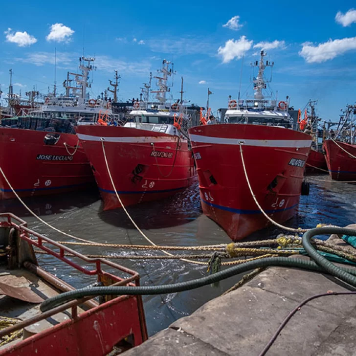 Crisis pesquera: las exportaciones cayeron 7,6% interanual