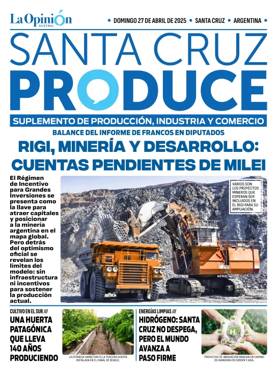 En ocho meses del RIGI, ya se aprobaron dos proyectos y hay inversiones por USD 15.200 millones en carpeta - Image 3