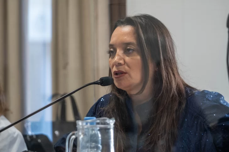 Juicio de Brianna Matulich: la fiscal Verónica Zuvic defendió su pedido de bajar la carátula