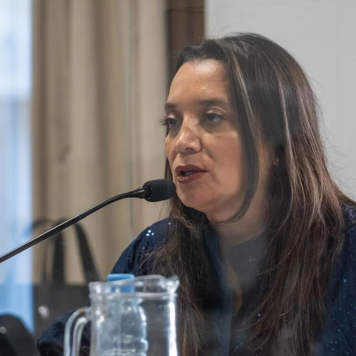 Juicio de Brianna Matulich: la fiscal Verónica Zuvic defendió su pedido de bajar la carátula
