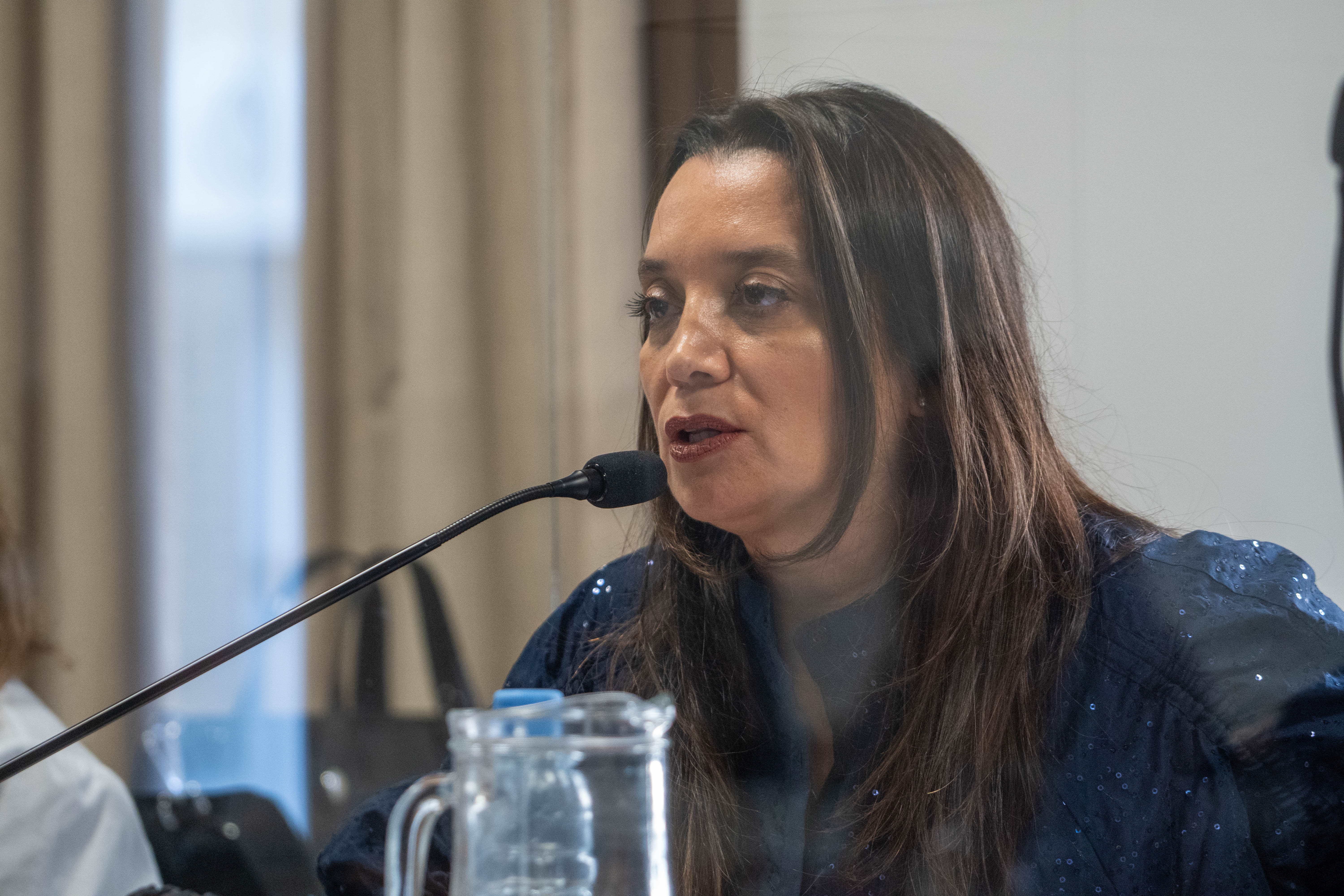  Verónica Zuvic fundamentando su pedido. (FOTO:LEANDRO FRANCO/LA OPINIÓN AUSTRAL)