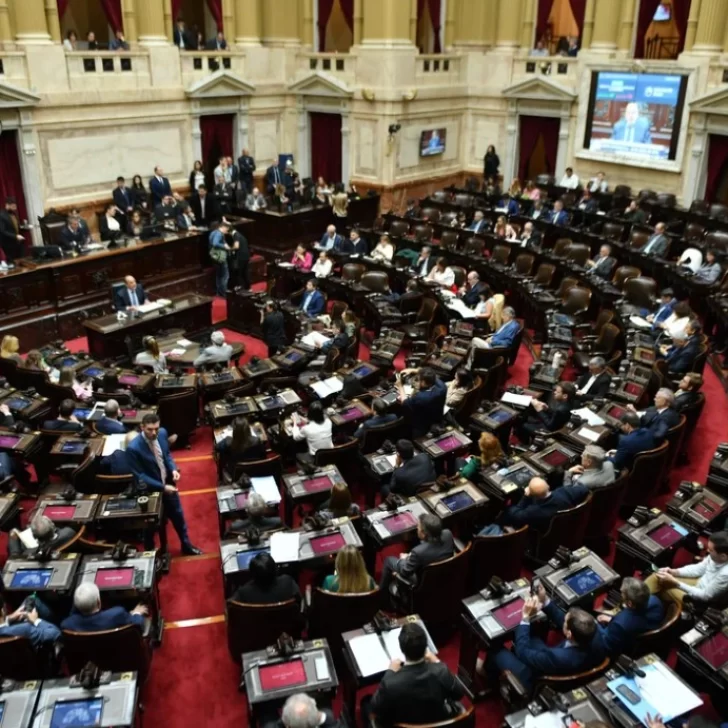La Cámara de Diputados rindió homenaje al Papa Francisco en una sesión especial