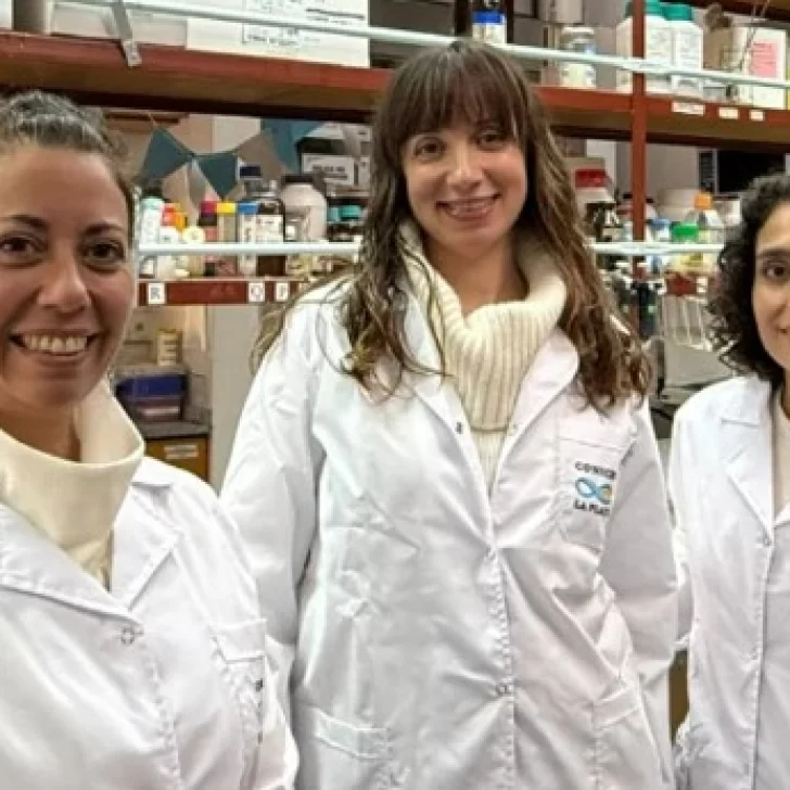 Científicas argentinas desarrollaron una venda que acelera la cicatrización